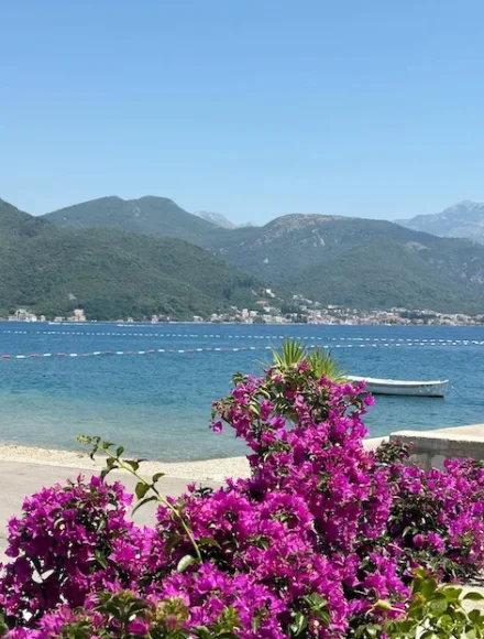 Apartmani Lubarda